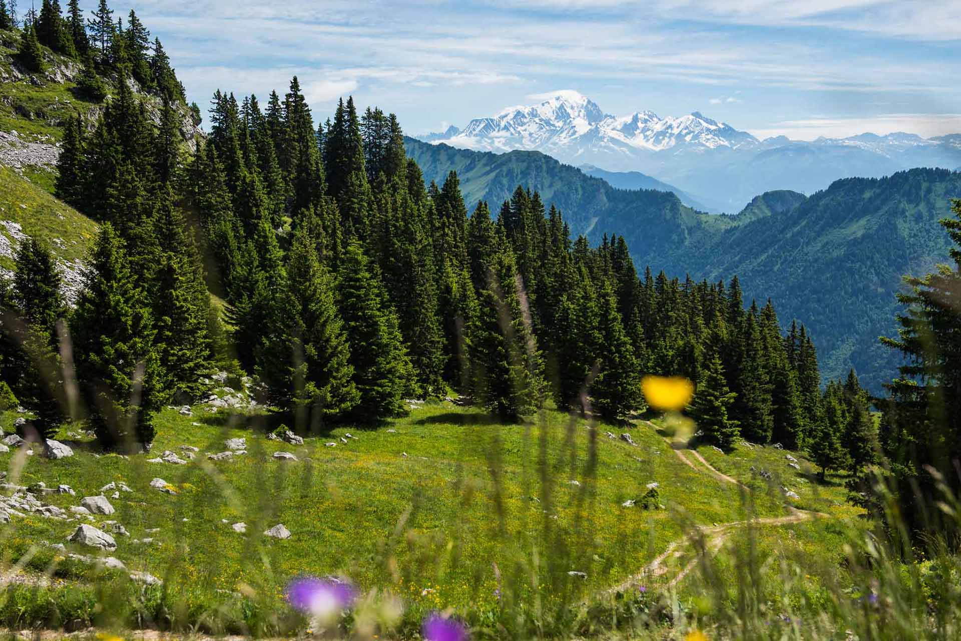 paysage de la randonnée à la Sambuy